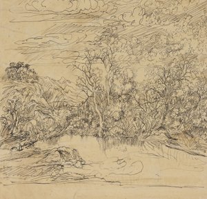 Bank Stawu autorstwa Rodolphe Bresdin