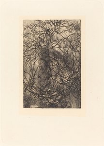 Gałęzie autorstwa Rodolphe Bresdin