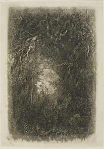 Polana w lesie autorstwa Rodolphe Bresdin