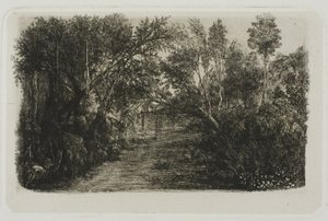 Strumien autorstwa Rodolphe Bresdin