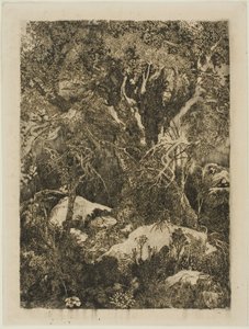 Las Fontainebleau autorstwa Rodolphe Bresdin