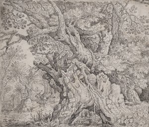 Sękate drzewo, ca. 1608-09.