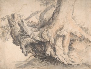 Studium Drzewa, ca. 1606-7.
