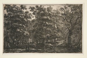 Int Seuniger Bos autorstwa Roelant Roghman