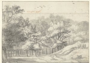 Zobacz w Haagse Bos autorstwa Roelant Roghman