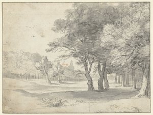 Widok na Haagse Bos, z Grote Kerk, Haga, w oddali autorstwa Roelant Roghman