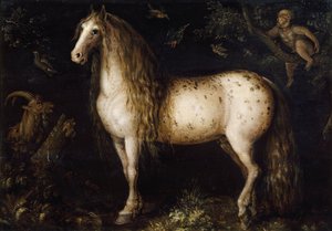 Pstrokata szara, ok. 1625-1630