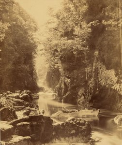  autorstwa Roger Fenton