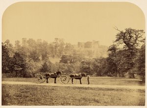 Hardwick Hall, widok z parku autorstwa Roger Fenton