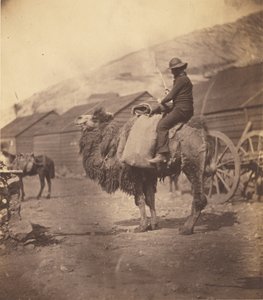 [Mężczyzna jadący na wielbłądzie] autorstwa Roger Fenton