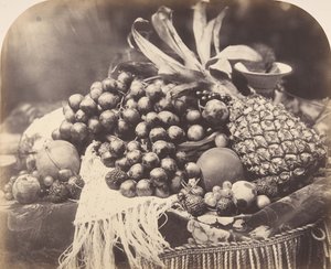 Martwa natura z owocami, 1860. autorstwa Roger Fenton