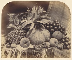  autorstwa Roger Fenton