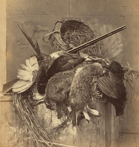 [Martwa natura z dziczyzną i bronią] autorstwa Roger Fenton