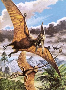 Pteranodon (góra) i Rhamphorhynchus (dół) autorstwa Roger Payne