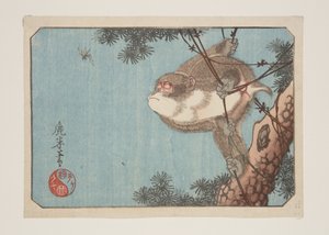 Monkey and Wasp (kolorowy drzeworyt) autorstwa Rokubei Rokubei