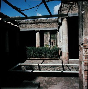 Do willi autorstwa Roman