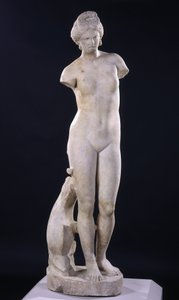 Afrodyta z Cyreny autorstwa Roman