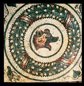 Głowa Niedźwiedzia, mozaika rzymska, pocz. IV w. (mozaika) autorstwa Roman