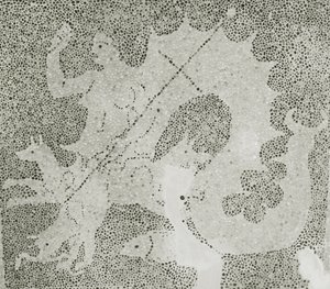Hellenistyczny kamyk Mozaika Scylli i Charybdy strzegących cieśniny, szczegół Scylli. Mozaika Dom Dionizosa, Pafos, Cypr autorstwa Roman