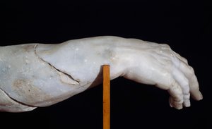 Prawa ręka Polifema, fragment Grupy Polifem lub Ulisses oślepiający Polifema, marmurowa rzeźba Agesandera, Atenodora i Polidora, kopia oryginału z okresu hellenistycznego, cywilizacja rzymska autorstwa Roman