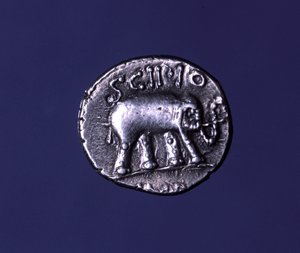 Srebrna moneta przedstawiająca słonia, fetysz ze Scypionów. Lucius Caecilius Metellus schwytał słonie kartagińskie w 251 rpne. 47-46 pne. autorstwa Roman