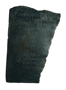 Zarząd Szpitali autorstwa Roman