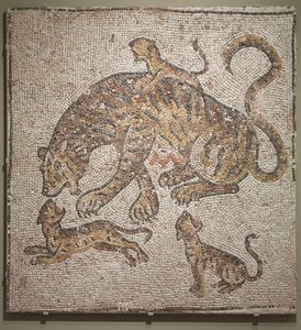 Tygrysica i młode, ok.300 AD autorstwa Roman