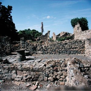 Widok zrujnowanych domów autorstwa Roman