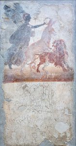 Osioł penetrujący lwa jest ukoronowany przez boginię Wiktorię, poniżej graffito z walką gladiatorów, insygnia sklepu autorstwa Roman Roman