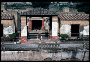 Dom jelenia, V wpne-I wne autorstwa Roman Roman