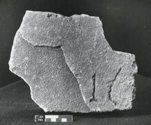 Kamień wiekowy (kamień) autorstwa Roman Roman
