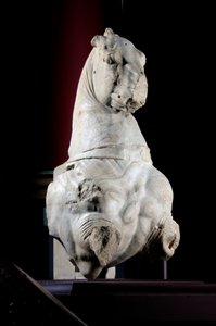 Przednia część konia (marmur) (patrz także 371182 i 371183) autorstwa Roman Roman