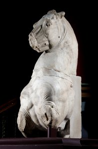 Przednia część konia (marmur) (patrz także 371182 i 371184) autorstwa Roman Roman