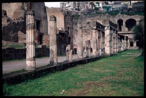 Ganek z palestry, V wpne-I wne autorstwa Roman Roman