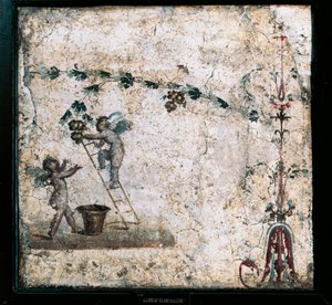 Fresk w trzecim stylu przedstawiający żniwa Kupidynów z Domu Marka Lukrecjusza w Pompejach autorstwa Roman Roman