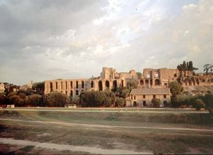 Widok na Palatyn z Circus Maximus (zdjęcie) (patrz także 99013) autorstwa Roman Roman