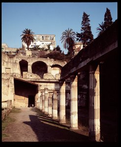 Widok palestry, V wpne-I wne autorstwa Roman Roman