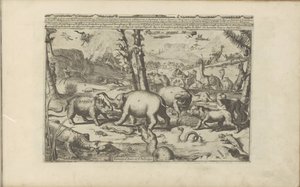 Dieren aziatische en Afrikaanse Aziatische en Afrikaanse dieren / Zwierzęta Azji i Afryki (tytuł na obiekcie) Indie Wschodnie i Zachodnie oraz inne miejsca (tytuł serii) autorstwa Romeyn de Hooghe