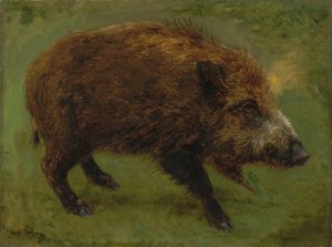 Francuski:  Le sanglier Dzik autorstwa Rosa Bonheur