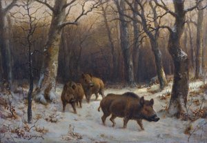 Francuski:  Sangliers dans la neige Dziki w śniegu autorstwa Rosa Bonheur