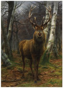 Król Puszczy, 1878