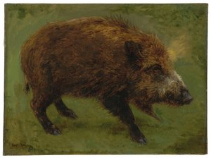 Dzik (olej na płótnie) autorstwa Rosa Bonheur