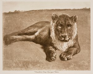  autorstwa Rosa Bonheur