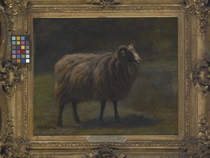 Baran (olej na płótnie) autorstwa Rosa Bonheur
