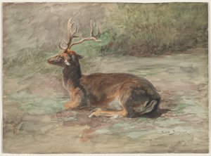 Leżący Jeleń, II poł. XIX w. autorstwa Rosa Bonheur