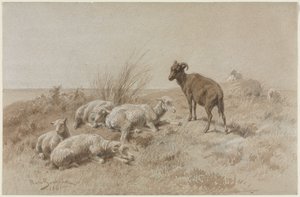 Owce autorstwa Rosa Bonheur