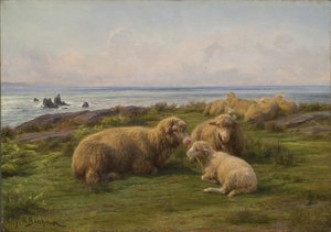 Owce nad morzem autorstwa Rosa Bonheur