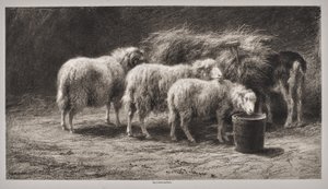  autorstwa Rosa Bonheur