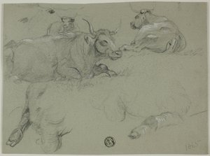 Szkice krów autorstwa Rosa Bonheur