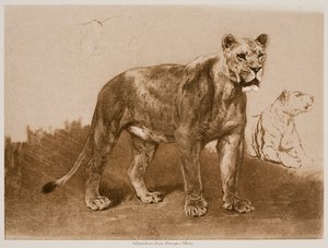  autorstwa Rosa Bonheur